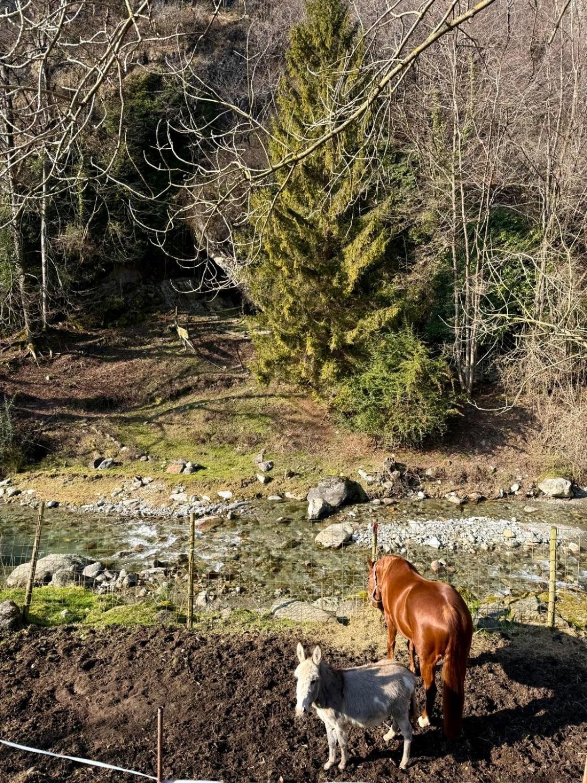 Agriturismo La Vecchia Chioderia Грандола-ед-Унити Экстерьер фото
