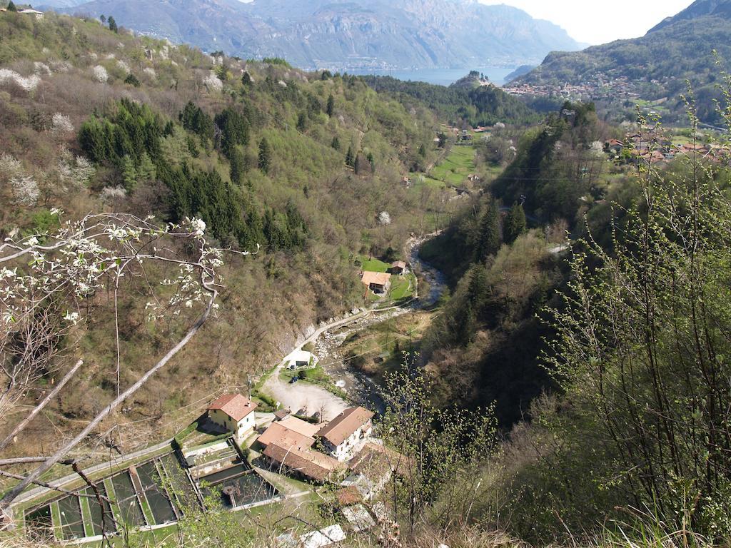 Agriturismo La Vecchia Chioderia Грандола-ед-Унити Экстерьер фото